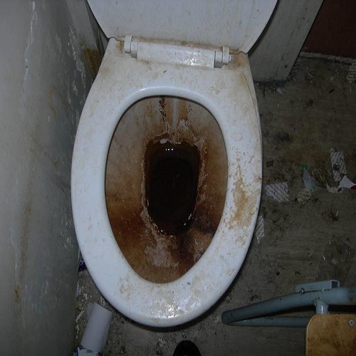 Prison toilet eBay
